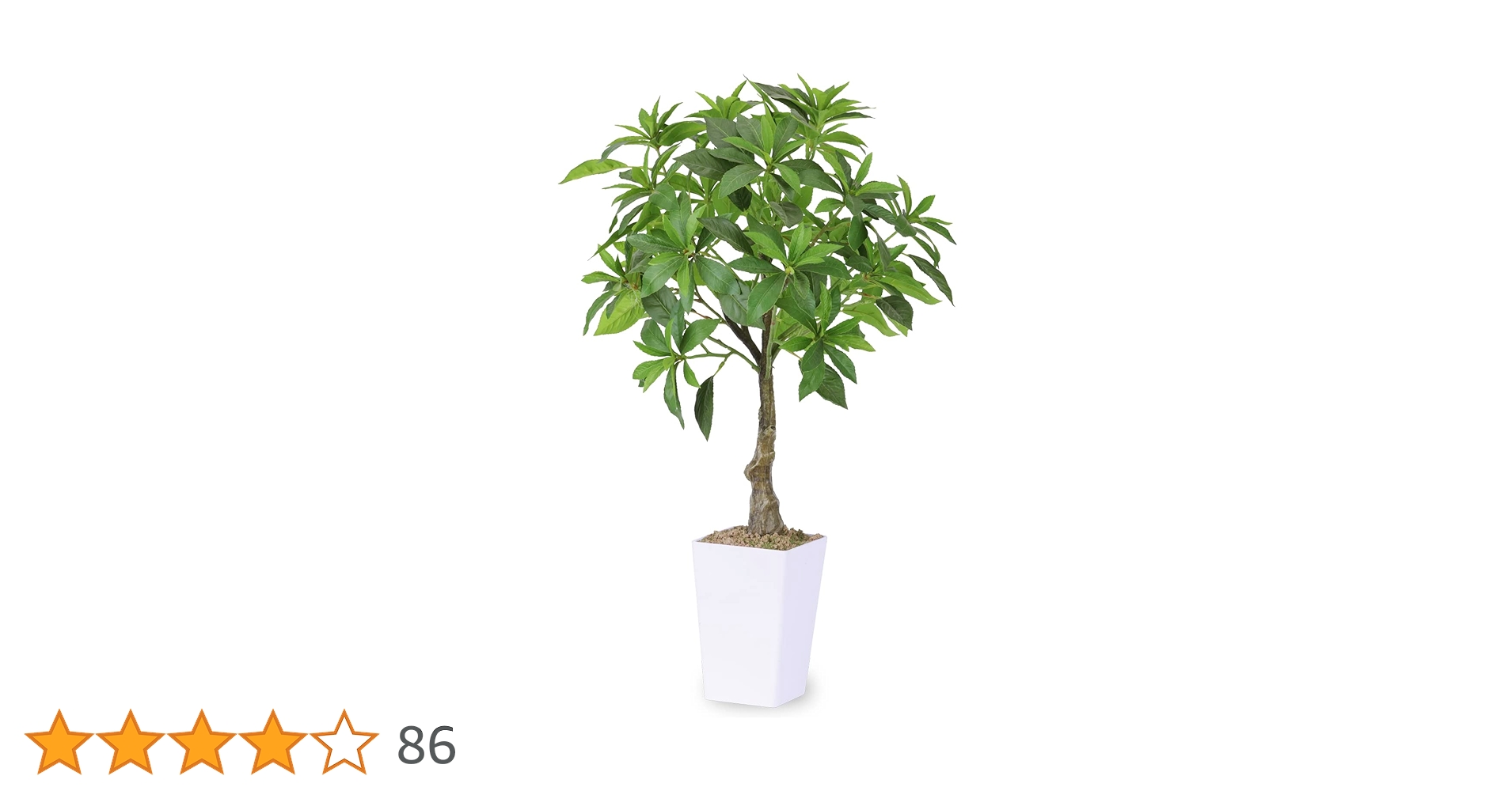 619eh+hdVxL.jpg_BO30,255,255,